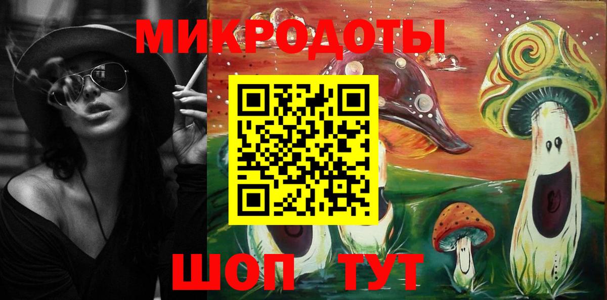 Тулун  Галлюциногенные грибы Cubensis  Вход с VPN 